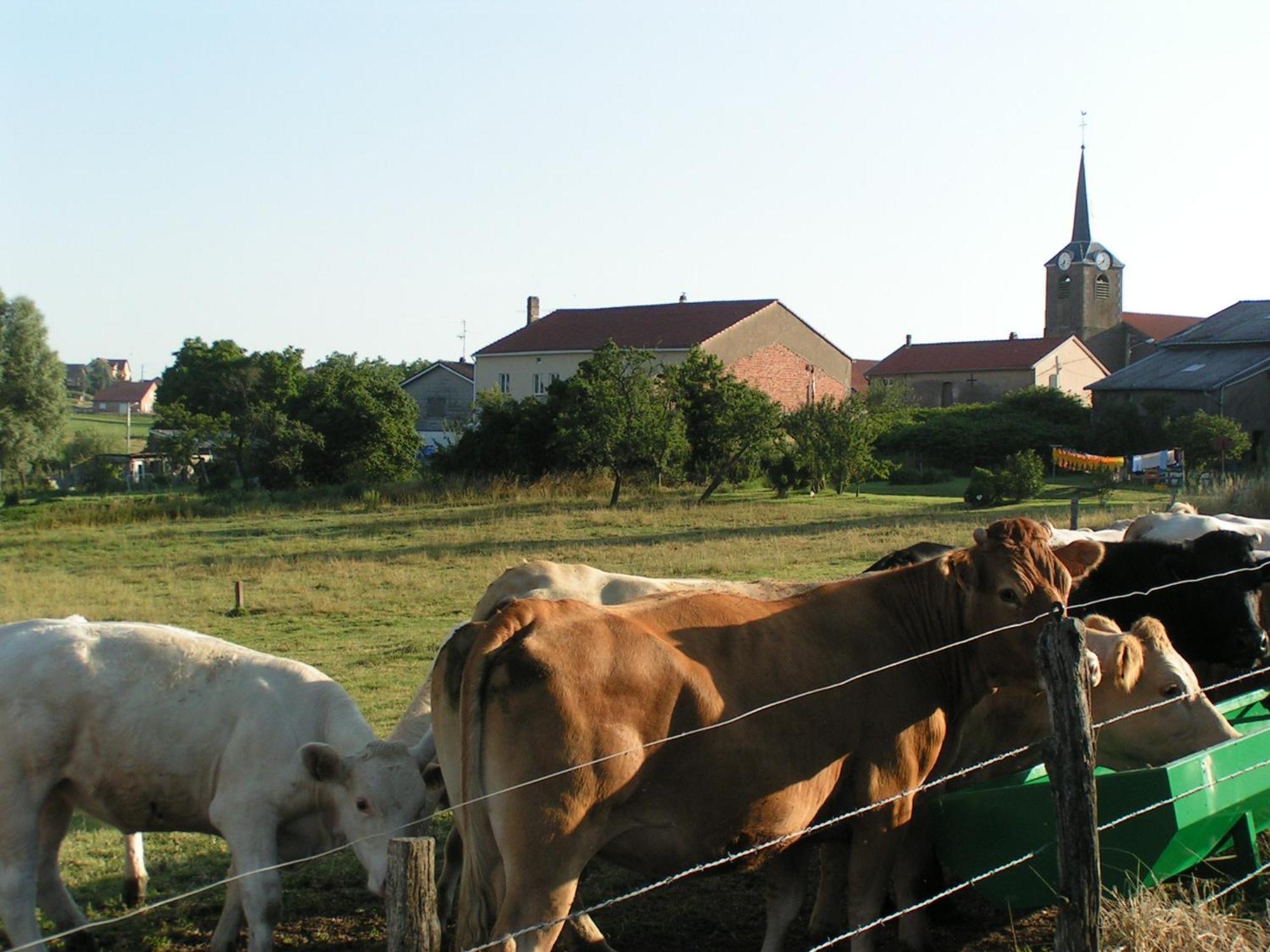 Chambres D'Hotes Au Presbytere Racrange Zewnętrze zdjęcie